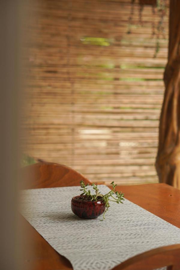Gala Apts Playa Santa Teresa  Extérieur photo