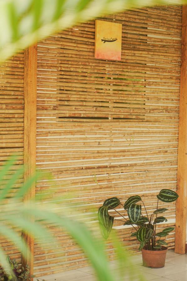 Gala Apts Playa Santa Teresa  Extérieur photo